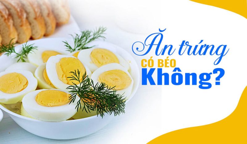 Trứng có béo không? Giải đáp chi tiết cho người đang giảm cân