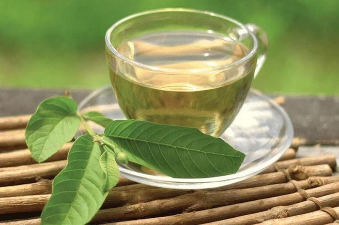 Cách giảm cân bằng lá ổi an toàn, hiệu quả tại nhà
